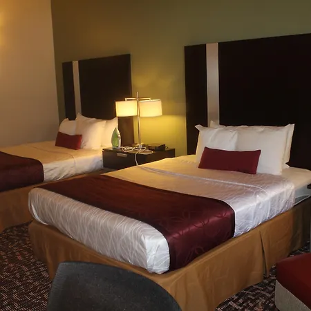 Best Western Plus The Woodlands-3