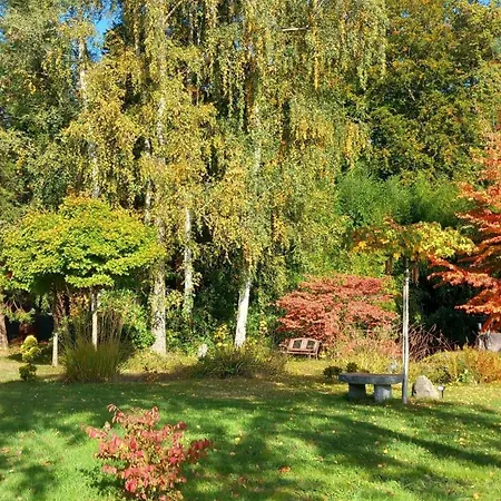 Ostsee-Pension An der Lindenallee-3