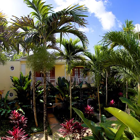Negril Palms-3