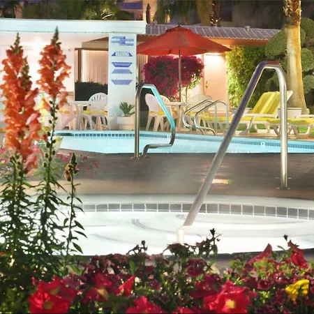 A Place in the Sun: Adults-Only Midcentury Boutique with Heated Pool-3