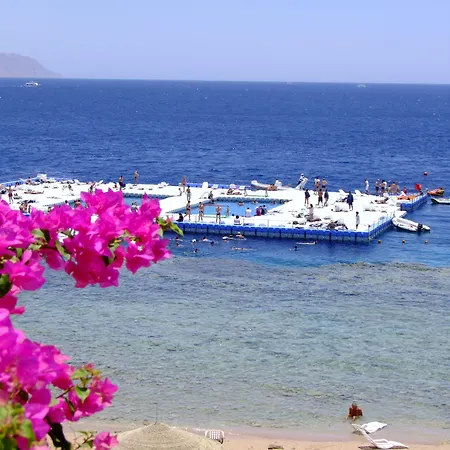 Domina Oasis Hotel & Resort-3