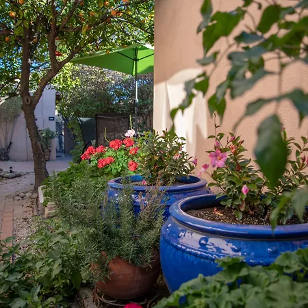 Adobe Rose Inn-2