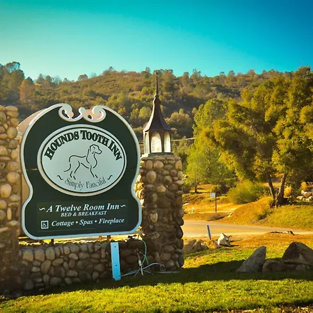 Hounds Tooth Inn-3