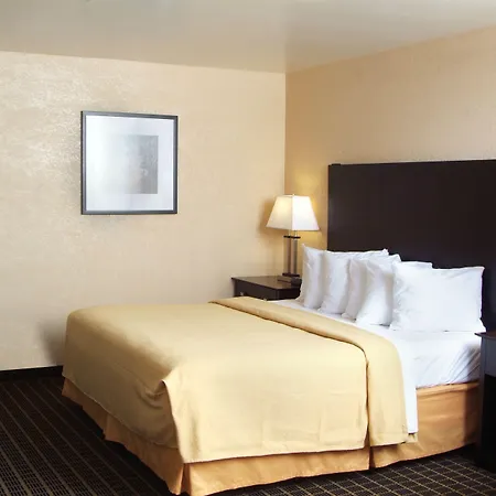 Quality Inn & Suites Big Rapids Near University-3