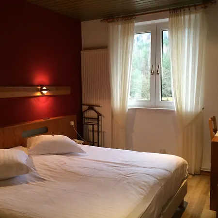 Logis Hôtel-Restaurant Auberge d'Imsthal-3