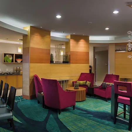 Springhill Suites St Petersburg Clearwater-2