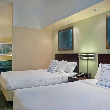 Springhill Suites St Petersburg Clearwater-3