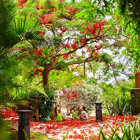 Iloha Seaview Hotel-3