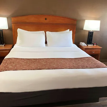 Best Western Manhattan Inn-3