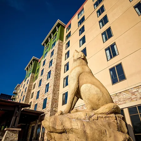 Great Wolf Lodge Bloomington-3