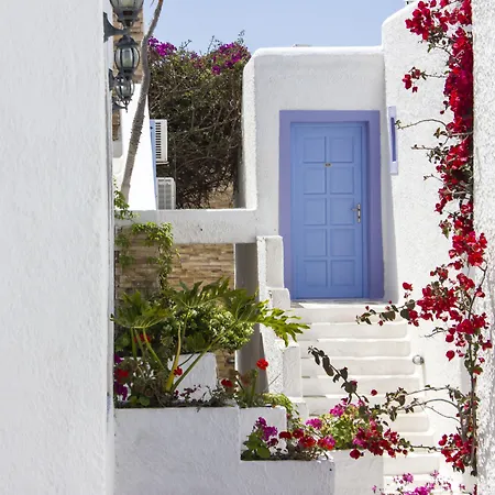 Naxos Holidays-3