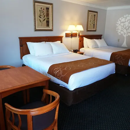 Journey Inn-3