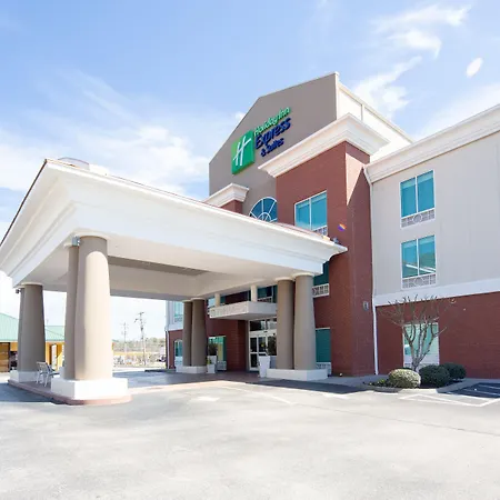 Holiday Inn Express Hotel & Suites Lenoir City Knoxville Area By Ihg-3