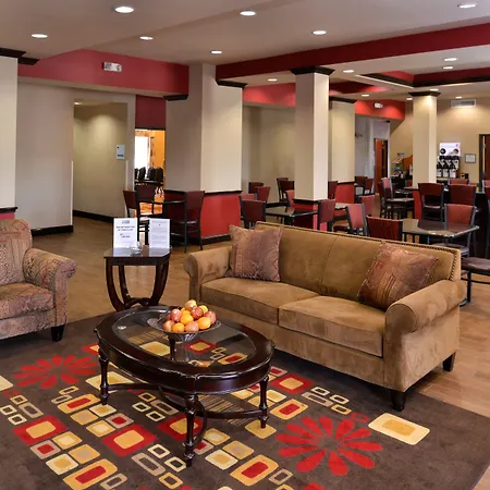 Holiday Inn Express Hotel & Suites Sherman Highway 75 By Ihg-2