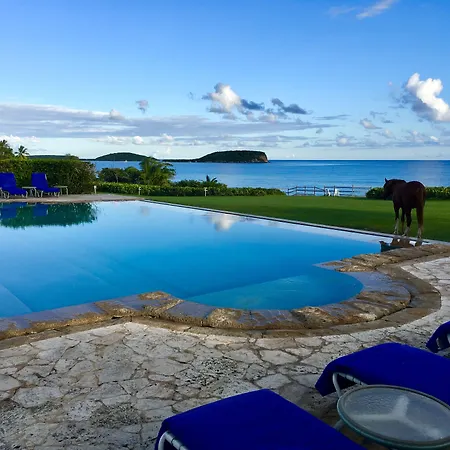 Blue Horizon Boutique Resort (Adults Only)-2