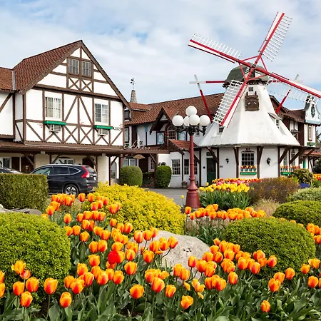 Auld Holland Inn-2