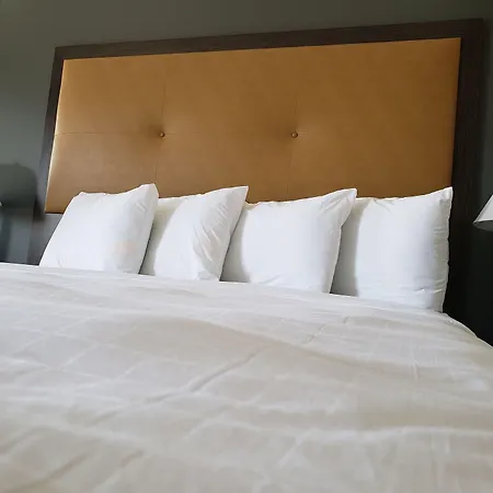 Portofino Inn Burbank-2