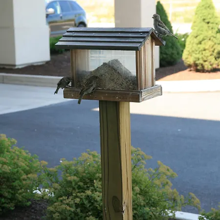 Hampton Inn Lewisburg-3