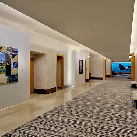 Loews Chicago O'Hare Hotel-3