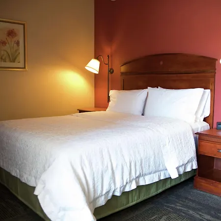 Hampton Inn Mountain Home-3