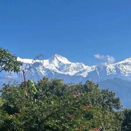 Hotel Pristine Himalaya-3