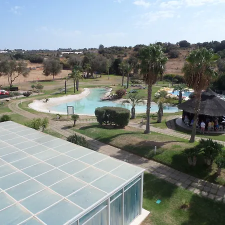 Yellow Alvor Garden-3