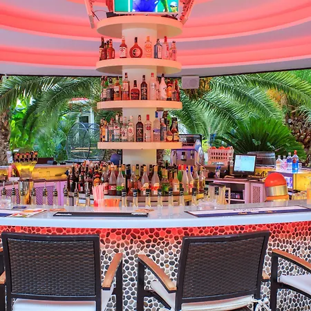 Flamingo Hotel&Spa - Pet Friendly-3