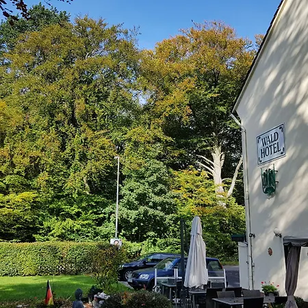 Wald-Hotel-3