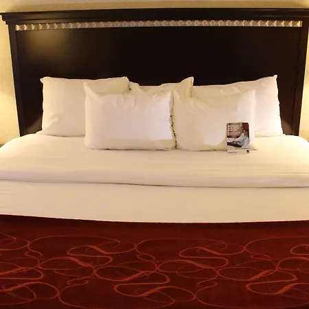 Comfort Suites Canton - Detroit-3