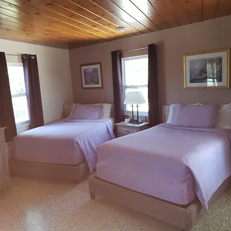 Siesta Motel-3