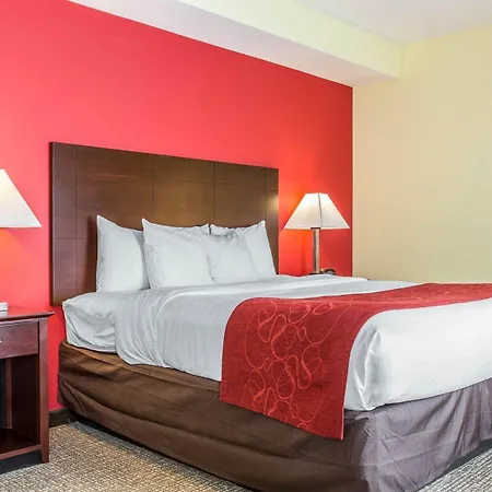 Comfort Suites Rock Hill Manchester Meadows Area-3