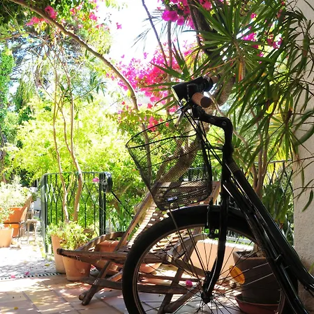 Uma Casa A Beira Sol-2