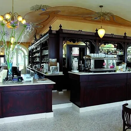 Hotel Lugana Parco Al Lago-3
