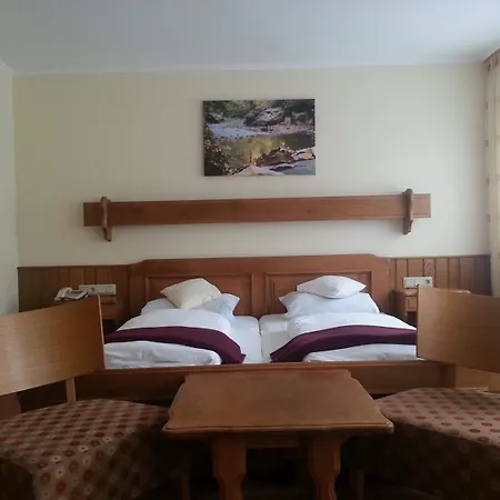 Hotel Ritschlay-3