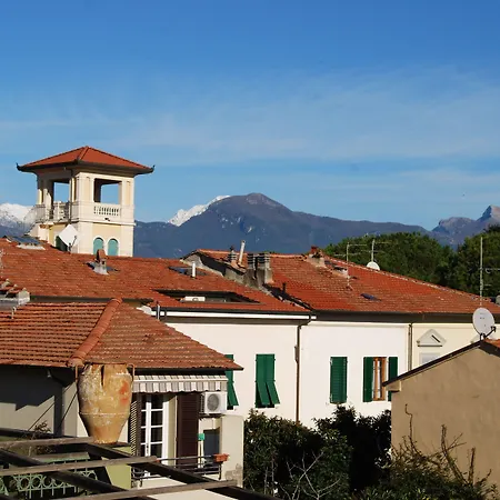 Burlamacco Gold-3