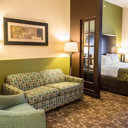 Comfort Suites Lake City-2