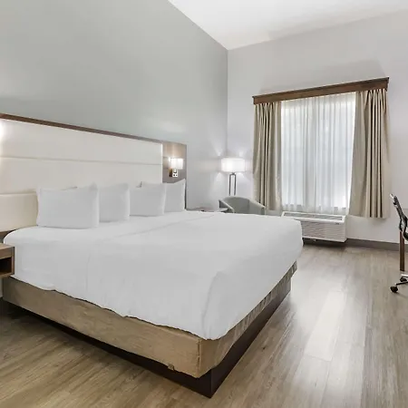 Best Western Plus First Coast Inn And Suites-2