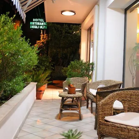 Hotel Degli Ulivi-2