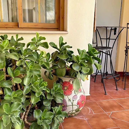 Hotel El Curro-3