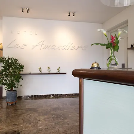 Hotel Les Amandiers-3