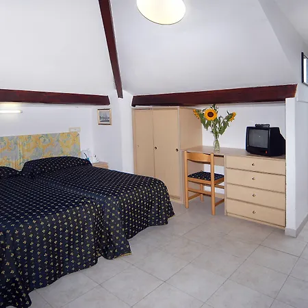 Hotel Delle Mimose-3