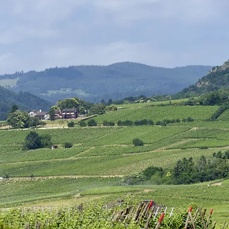 Le Clos Saint-Vincent-3