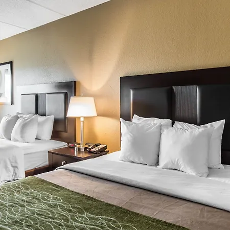 Comfort Inn Warner Robins - Robins Air Force Base Area-2