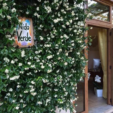 Nido Verde-2