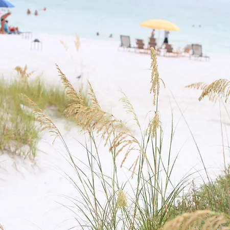 Beach Club At Siesta Key By Rva-2
