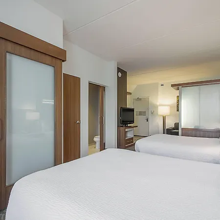 Springhill Suites Tampa North/Tampa Palms-3
