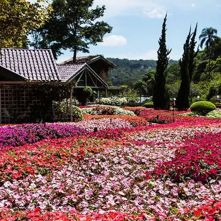 Unique Garden-2