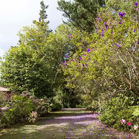 Quinta Santo Antonio Da Serra-2