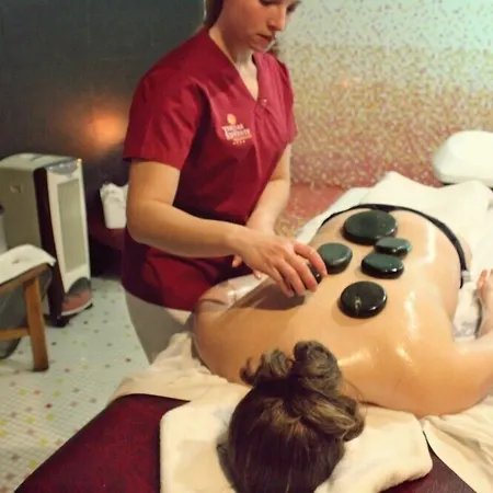 Palace Hotel & Spa - Termas De Sao Vicente-2