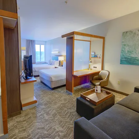 Springhill Suites By Marriott Macon-3